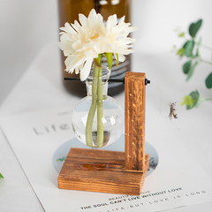 Vaso Terrário para Plantas Hidropônicas - loja online