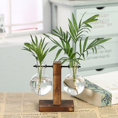 Vaso Terrário para Plantas Hidropônicas na internet