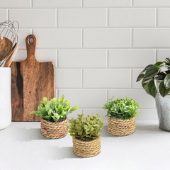 Planta com Vaso em Rattan | RattanVibe - loja online