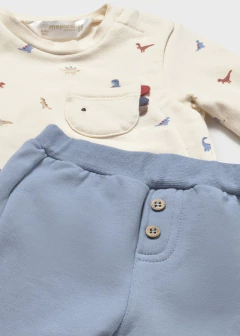 Conj. punto 4 en internet