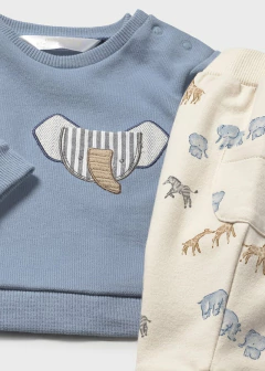 Conj. punto bosque en internet