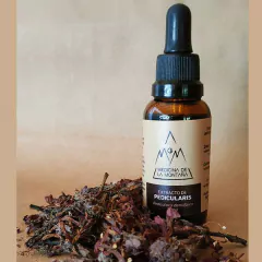 EXTRACTO PEDICULARIS - Alivio corporal en internet
