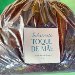 Substrato Para Samambaia - Toque de Mãe na internet