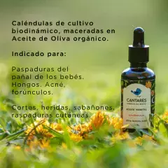 Aceite macerado de caléndula 50 ml en gotero de vidrio - comprar online