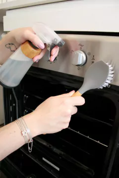 Cepillo abrasivo con mango