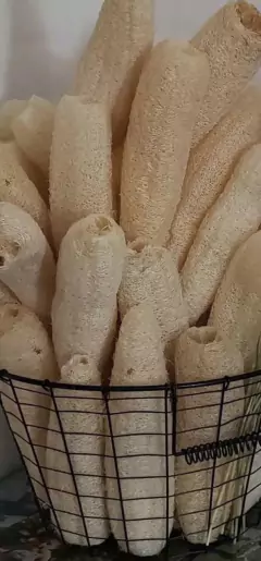 ESPONJA VEGETAL en internet