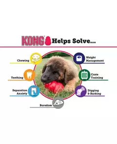 Kong Classic G - Kong - HORN UND HUF