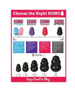 Kong Extreme XG - Kong na internet