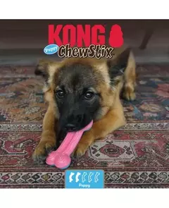 ChewStix Puppy M - Kong na internet
