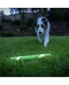 Ultra Fetch Stick Max Glow (Brilha no Escuro) - Chuckit na internet