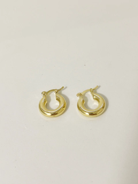 Argola Gigi - comprar online