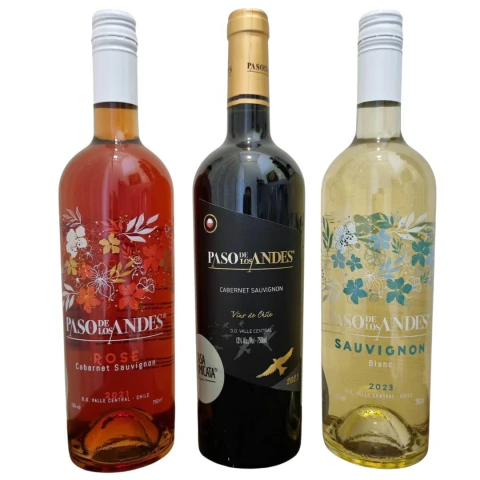 KIT 3 VINHOS PASO DE LOS ANDES TINTO ROSE E BRANCO D.O CHILE