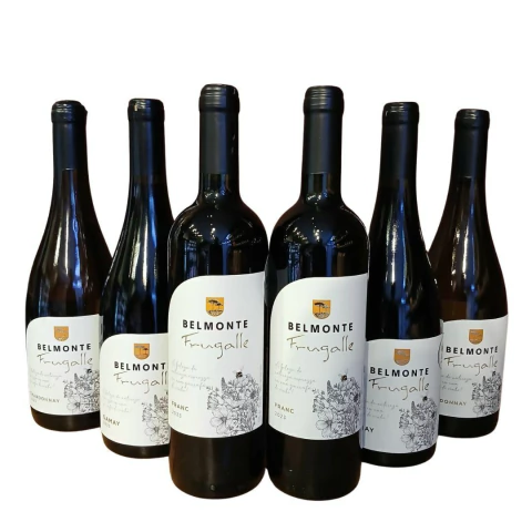 KIT 6 VINHOS BELMONTE CABERNET FRANC, GAMAY E CHARDONNAY