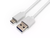 Cable USB 3.1 tipo C a USB 3.0 AM de 1m NSCUSCAM