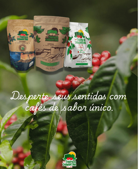 Carrossel 1