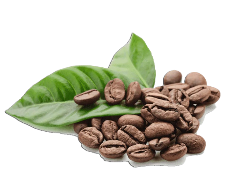 Marca 2 de Café Chapada Diamantina | Cafés Especiais Artesanais da Bahia