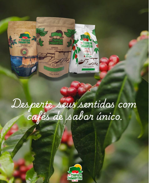 Carrossel 1