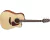 Violão Takamine Folk Natural Ed4dc Tp4t (1614)