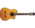 Violão Takamine Gc5ce N Tp4t Natural Nylon (12707)