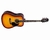Violão Giannini Folk Elétrico Gd-1eq Ts Não Cutway Tobacco Sunburst (6403)
