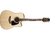 Violão Takamine Folk Gd51ce N Natural (7389)
