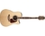 Violão Takamine Folk Gd71ce Natural Tk40d (1269)