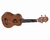 Ukulele Giannini Start Guk-21 Ws Sapele Soprano (5097)