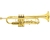 Trompete Hoyden Htr-25l Sib Laqueado C/ Estojo (11829)
