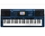 Teclado Casio Arranjador Mz X500 Com Ritmos Brasilerios e Fonte (5730)