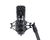 Microfone Vokal Condensador Sv80x Studio (4828) na internet