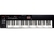 Teclado Sintetizador Roland Xps-10 Preto 5/8 Com Fonte (4169)