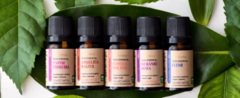 Banner da categoria Óleos vegetais e essenciais