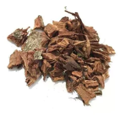CASCA DE CAJUEIRO