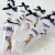 Vasos Alegré - Pack 10 unidades