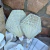 Abanicos de Hoja de Palma - tienda online