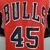 Chicago Bulls - JORDAN #45 (95/96) na internet