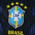 Brasil 2026 Copa do Mundo Fora [CROPPED] - comprar online