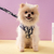 COLEIRA DOG DIOR (PRONTA ENTREGA) na internet