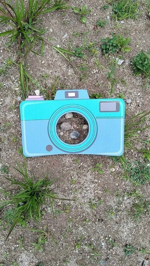 LENTE DA NATUREZA - MÁQUINA FOTOGRÁFICA (PDF)