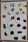 JOGO DE SOMBRAS