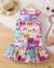 Imagem do Molde de Vestido Branca de Neve