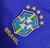 Camisa do Brasil - Feminina na internet