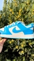 Dunk Low Sky Blue en internet