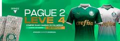 Banner da categoria Palmeiras