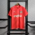 Camisa Puma Palmeiras Treino 2022/23 - Vermelha
