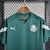 Camisa Puma Palmeiras Treino 2023/24 - Verde na internet