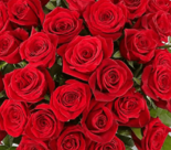 Ramo de 120 Rosas Colombianas - comprar online