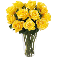 Vase 12 Beautiful Yellow Roses