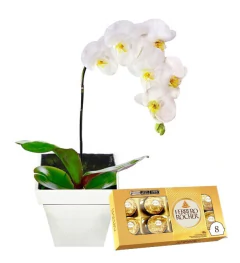 White Orchid and Ferrero Rocher