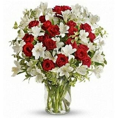 Red Colombianas and Astromeliads Vase with 24 Red Colombian Roses and Astromeliad Flowers. Beautiful and super elegant.